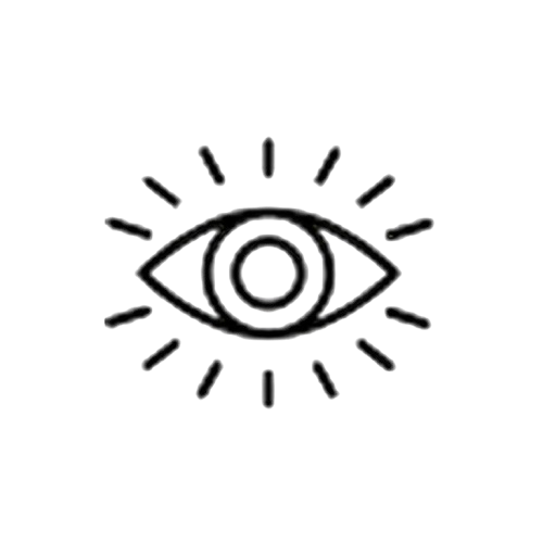 Vision Icon